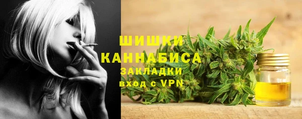 гидра Богданович