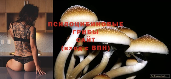 бутик Бородино