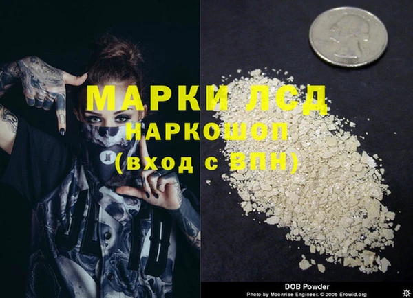 гидра Богданович
