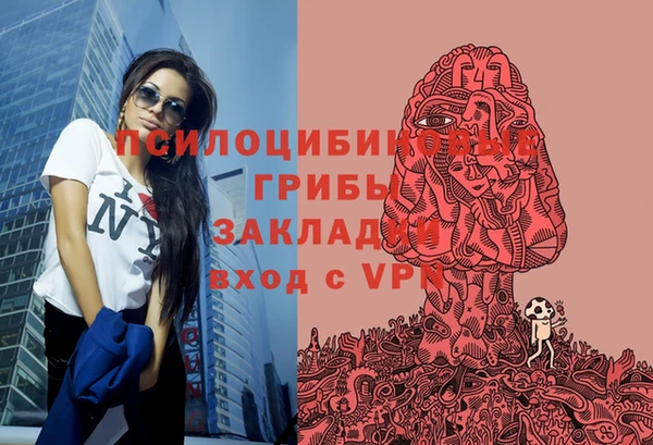 тгк Осинники