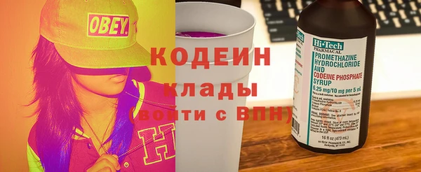 гидра Богданович
